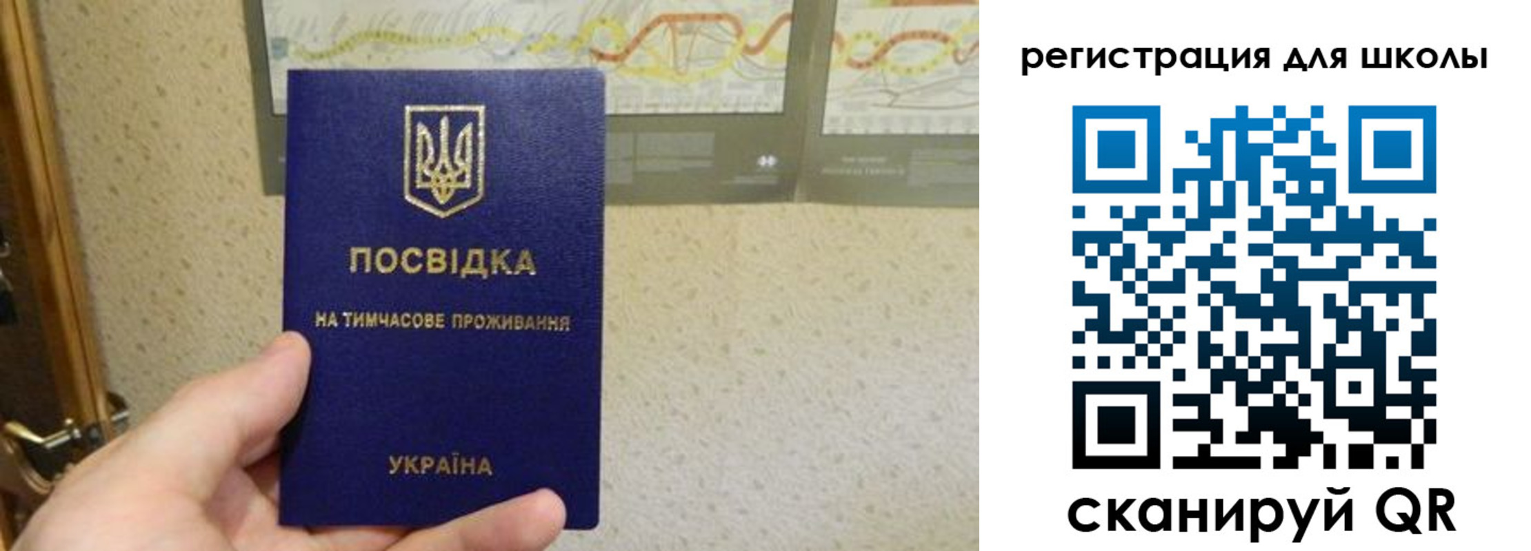 временная прописка в Дятьково
